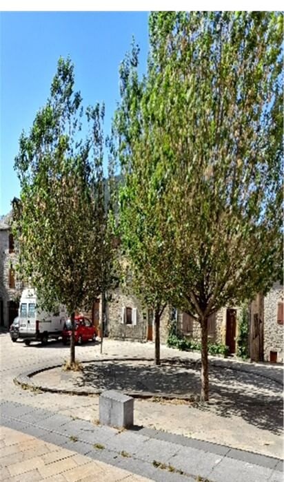 Petites villes de demain: Caussade, ville lauréate en Tarn-et-Garonne 